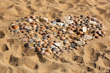 Conchas formando un corazón en la arena de la playa.