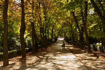 Fototapeta premium Mujer paseando por el parque del Retiro en Madrid.