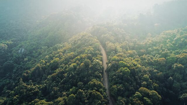 Sunset green rural forest jungle road, nature landscape on tropical Kah Phangan Island in Thailand, Asia. Zoom out panorama aerial view of wild national park. Travel tour, eco tourism concept.