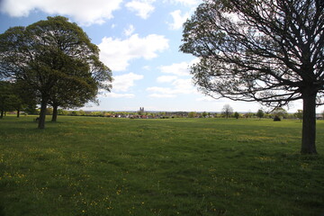 Beverley Westwood is an open space on the edge of Beverley, it is an ideal area for families to enjoy. Cattle and sheep roam freely grazing on the pastures