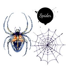 Watercolor spider and spiderweb illustration. Vector painted isolated Halloween elements on white background
