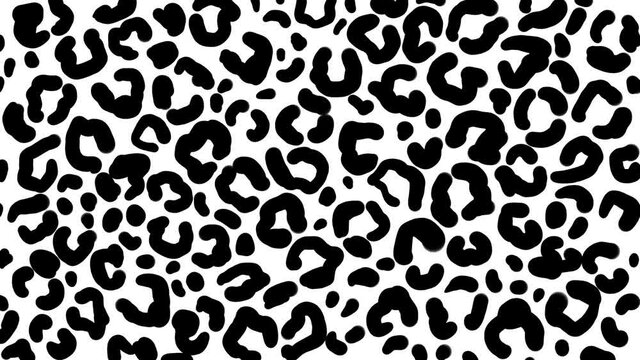 Cartoon frame by frame looping texture of a leopard in black and white 