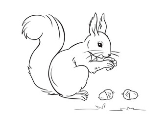 Squirrel. A line on a white background . Coloring pages. © Olha Zolotnyk