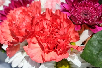 Hot red carnation flowers arranged in a beautiful fresh flower bouquet on a bright sunny summer day. 