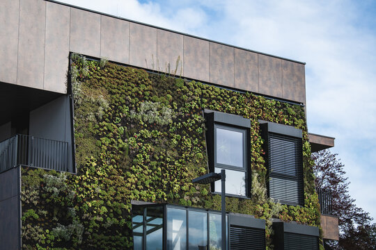 Bepflanzte Fassade an einem Bürogebäude - vertikaler Garten