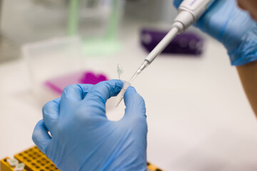 Laboratory technician digs out PCR to diagnose viruses