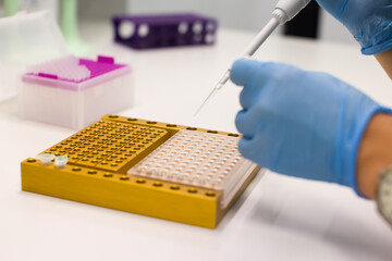 Laboratory technician digs out PCR to diagnose viruses