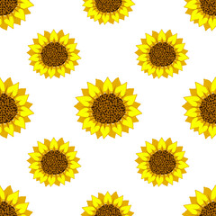 Floral pattern of sunflowers blooming on white background