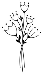 Bouquet line transparent flowers and leaves vector illustration