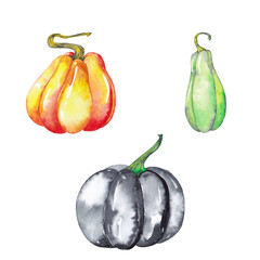 Halloween decorative black, orange and green pumpkins. Watercolor hand painted isolated elements on white background.