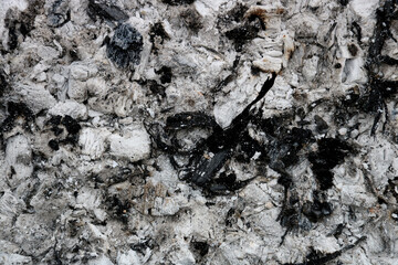 Cold Barbecue Residual Debris and Ash Closeup View