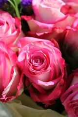 Beautiful bouquet of bright pink roses in full bloom on a bright sunny summer day.