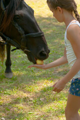 Girl feeding the horse with an apple. A little girl (eight years old) feeding the horse with an apple