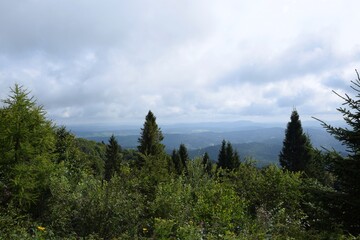 Beautiful mountains scenery, green forest landscape during cloudy and foggy weather in mountains of Beskid in Poland.