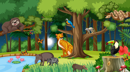 Forest at night landscape scene with different wild animals