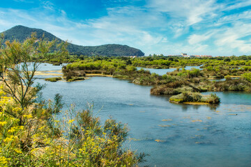 Parque natural de las marismas de Santoña en Cantabria, España