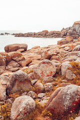 Landscape of a mediterranean coastline