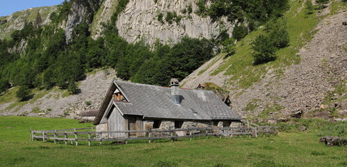 Fototapeta na wymiar a beautiful swiss alpine landscape with a hut 