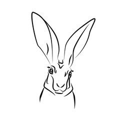 vecctor white blck hare head with big ears realistic rabbit contour illustration wild animal logo rodent silhouette