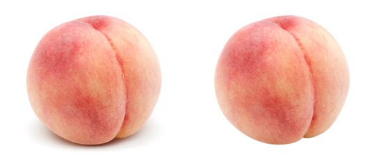 桃 もも イラスト リアル 単体