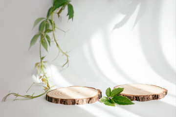 Natural round wooden stand for presentation and exhibitions on white background with shadow. Mock up 3d empty podium with green leaves for organic cosmetic product. Copy space.