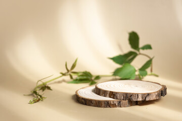 Natural round wooden stand for presentation and exhibitions on pastel beige background with shadow. Mock up 3d empty podium with green leaves for organic cosmetic product. Copy space.