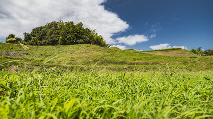 【香川県　豊島】夏の青い空の下の草原と丘の自然風景
