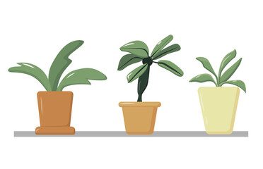 A collection of indoor plants in pots standing on the window, a set of flowers in a planter, home comfort, home garden. Vector cartoon illustration