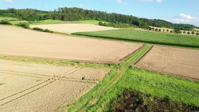 Backwards flying aerial shot of German agricultural landscape with wheat fields and harrowed acres. Cornfield and meadowmoves in the wind.