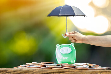 Piggy bank put on the gold coin and woman hand hold the black umbrella for protect on sunlight in...