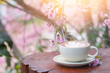 The coffee art put on the wooden table and flower Wild Himalayan Cherry with bloom in the winter in morning sunlight.