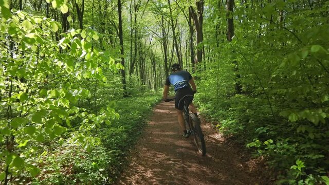 A cyclist is riding downhill at high speed. He is training on an MTB bike in the forest. He's wearing a bicycle uniform. The camera moves behind him. 4K 