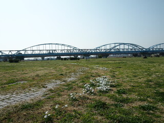 晴れた日の河川敷とシロツメクサ、橋