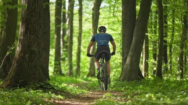 A man on a bicycle is riding along a forest path. He is wearing cycling gear. Shooting from behind. 4K 