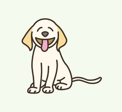 Cute sitting pet Labrador with tongue out in cartoon vector art illustration design