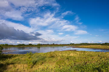 Eine renaturiertes Küstengebiet die Geltinger Birk an der Ostseeküste an der Geltinger Bucht