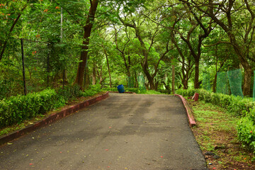 Dirty Dry Road Pathway in Park  in Rainy Season Background