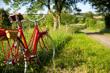 Fototapeta na wymiar Balade en vélo sur une route de campagne au printemps.