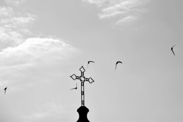 Uccelli che volano attorno ad una croce