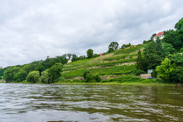 The Elbe river landscape