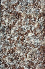 Close up of the biscuit with texture.