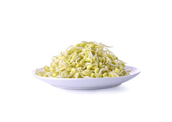 Bean Sproutsisolated on white background