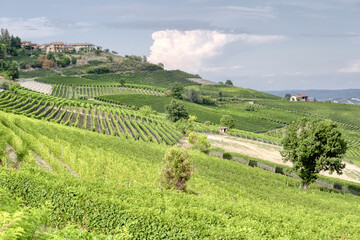 Fototapeta na wymiar The vineyards of Langhe (Piedmont, Northern Italy), seen from the viewpoint of the village of La Morra. UNESCO site since 2014, world famous for its valuable red wines (like Barolo and Barbaresco).