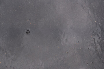 Raindrops fall on the asphalt in puddles