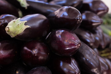 Fresh eggplant on market counter