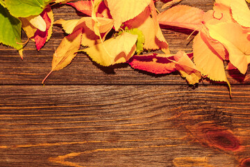 Frame made of autumn leaves with space for text on wooden background.