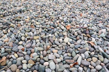 敷き詰められた沢山の丸い小石