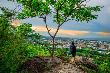 Natural background with various species of trees, green leaves, the beauty of the ecosystem