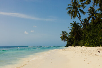 Empty, sandy beach on  Maldives islands