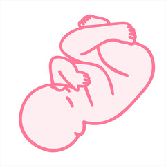 Human embryo, baby, hand drawing. Design editable image.
